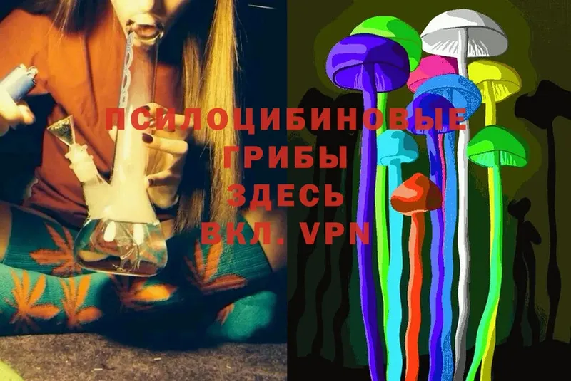 даркнет сайт  Луховицы  Псилоцибиновые грибы MAGIC MUSHROOMS 